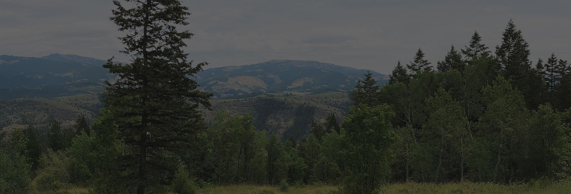 mountain background